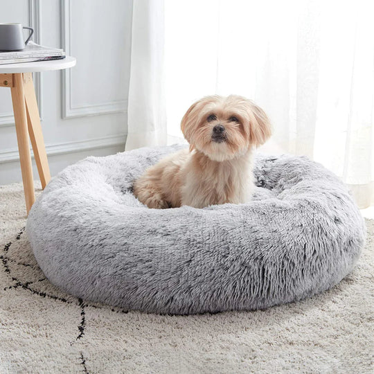 Mysa Beruhigendes Hundebett | Orthopädisch Komfort | Stresslindernd | Plüsch