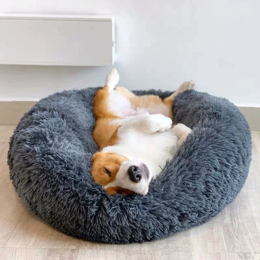 Mysa Beruhigendes Hundebett | Orthopädisch Komfort | Stresslindernd | Plüsch