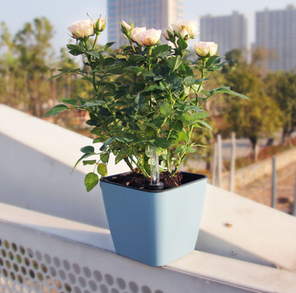 Floravi Aqua | selbstbewässernder Blumentopf für Innen- und Außenbereiche