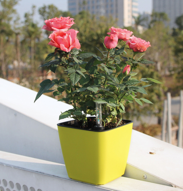 Floravi Aqua | selbstbewässernder Blumentopf für Innen- und Außenbereiche