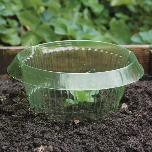 PlantGuard™ | Chemische vrije slakkenbescherming voor potplanten
