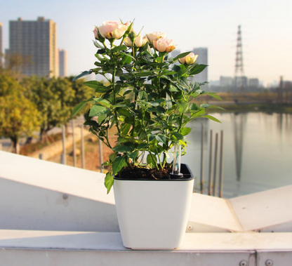 Floravi Aqua | selbstbewässernder Blumentopf für Innen- und Außenbereiche
