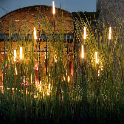 Solar-Schilf-Leuchten Set (6-tlg.) – Wasserdichte LED-Gartenbeleuchtung