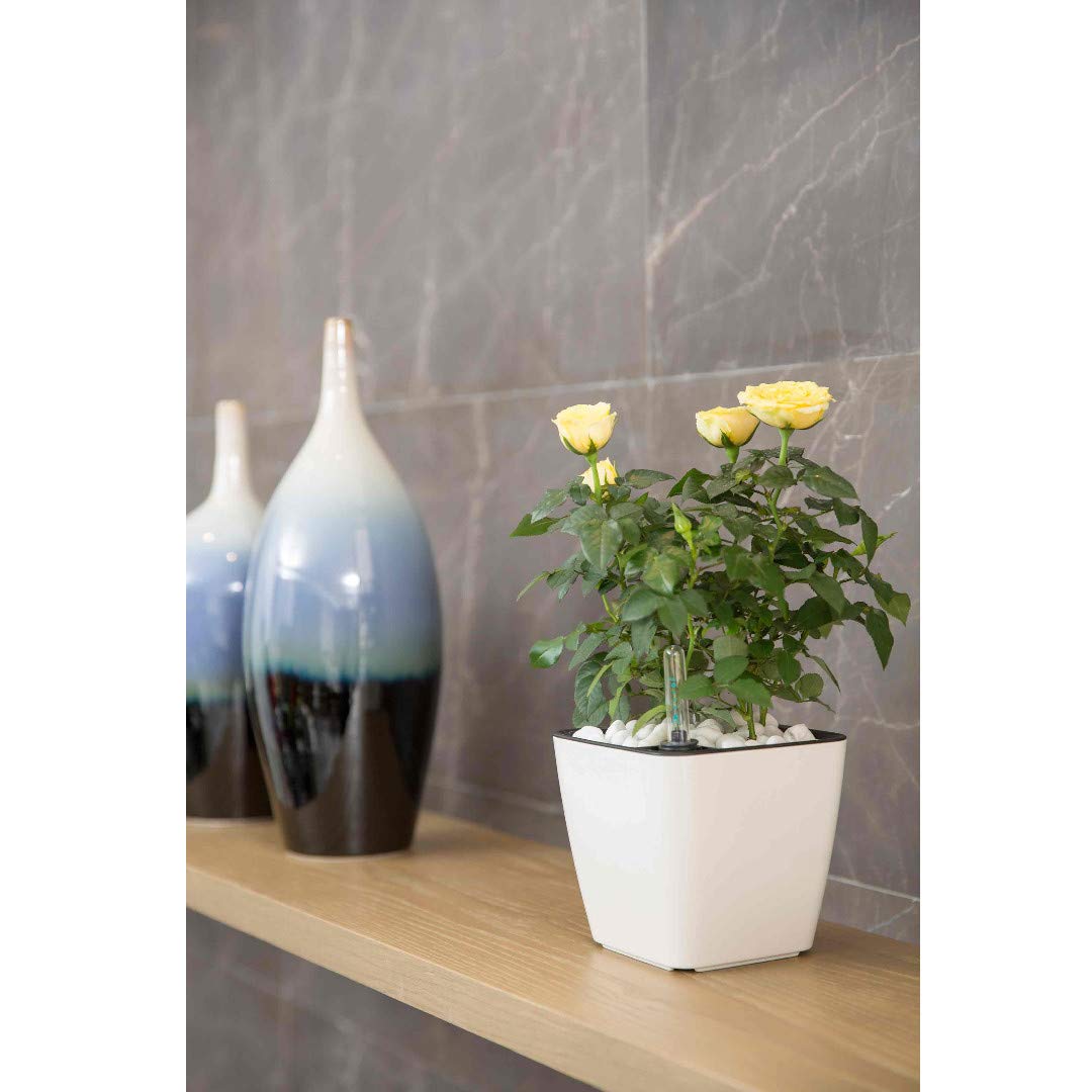 Floravi Aqua | selbstbewässernder Blumentopf für Innen- und Außenbereiche