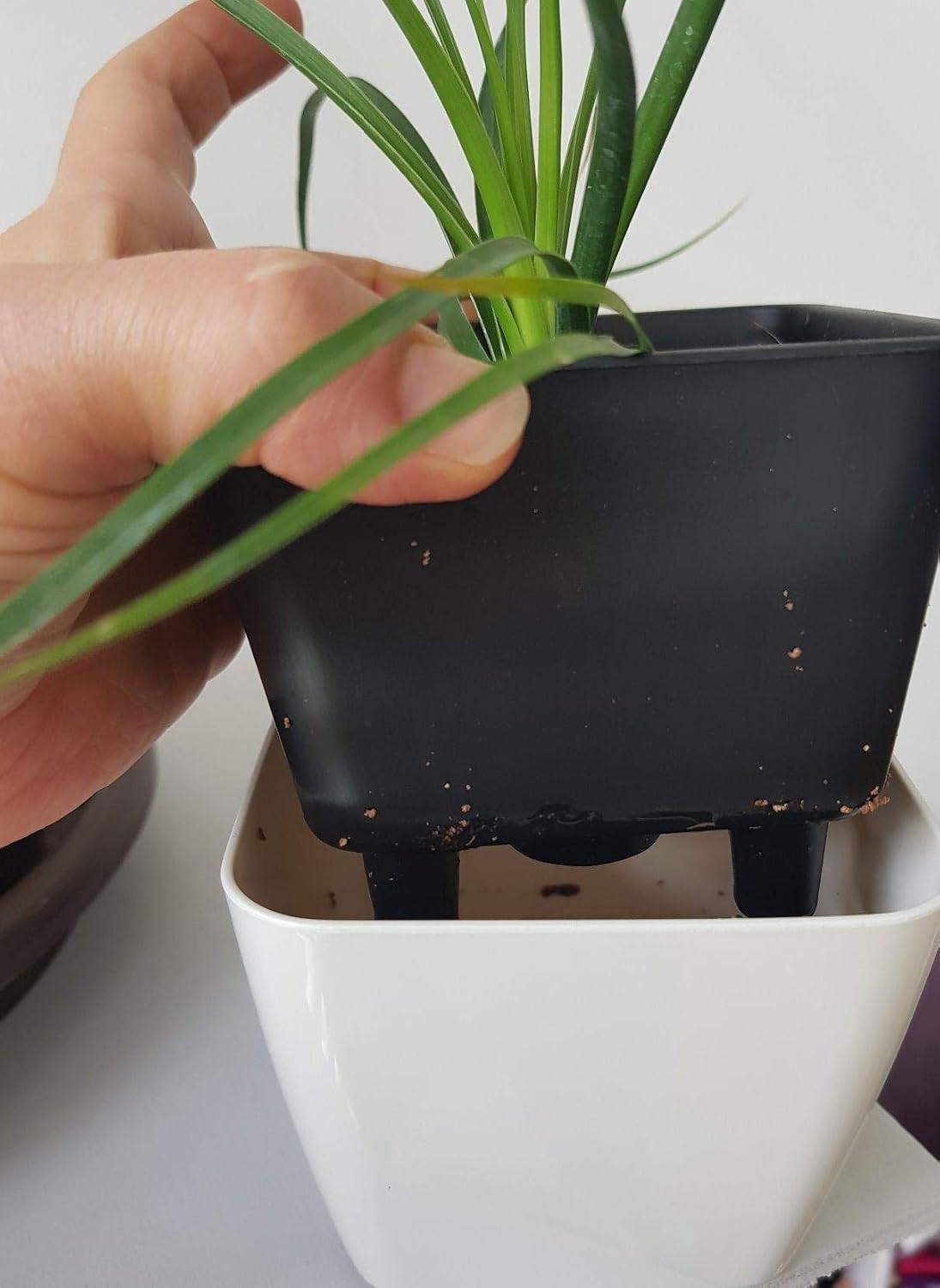 Floravi Aqua | selbstbewässernder Blumentopf für Innen- und Außenbereiche