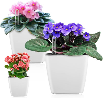 Floravi Aqua | selbstbewässernder Blumentopf für Innen- und Außenbereiche