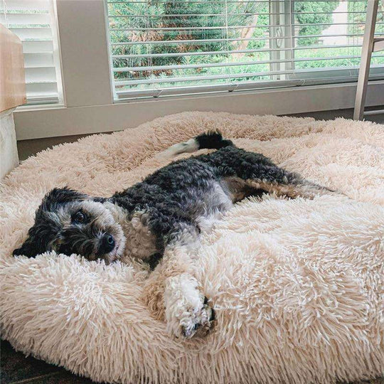 Mysa Beruhigendes Hundebett | Orthopädisch Komfort | Stresslindernd | Plüsch