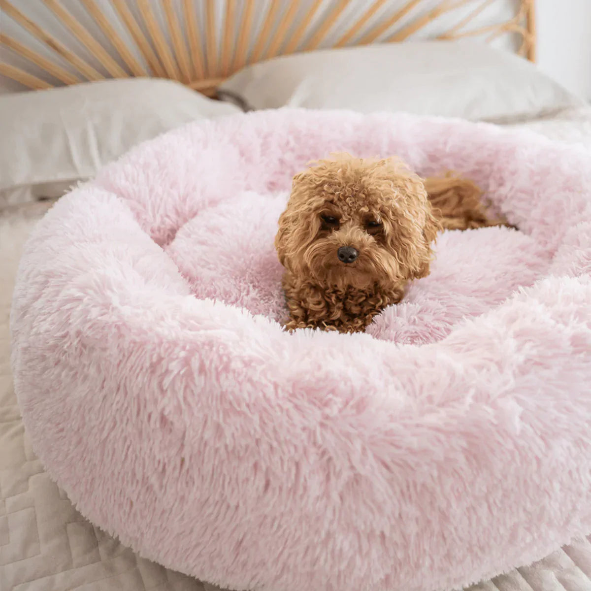 Mysa Beruhigendes Hundebett | Orthopädisch Komfort | Stresslindernd | Plüsch