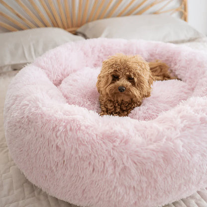 Mysa Beruhigendes Hundebett | Orthopädisch Komfort | Stresslindernd | Plüsch