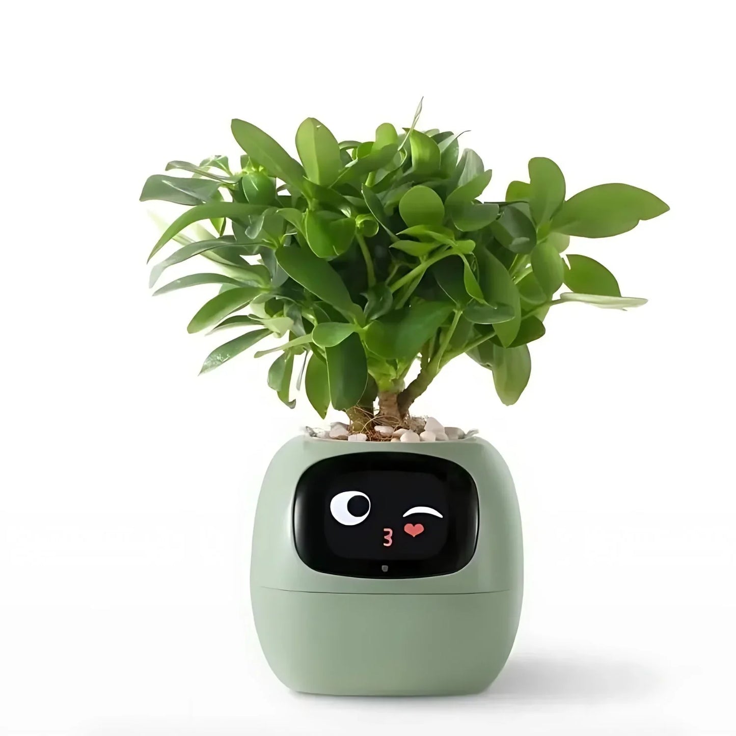 LumiPlant Smart | Automatischer Blumentopf mit Bewässerungssystem & LED-Licht