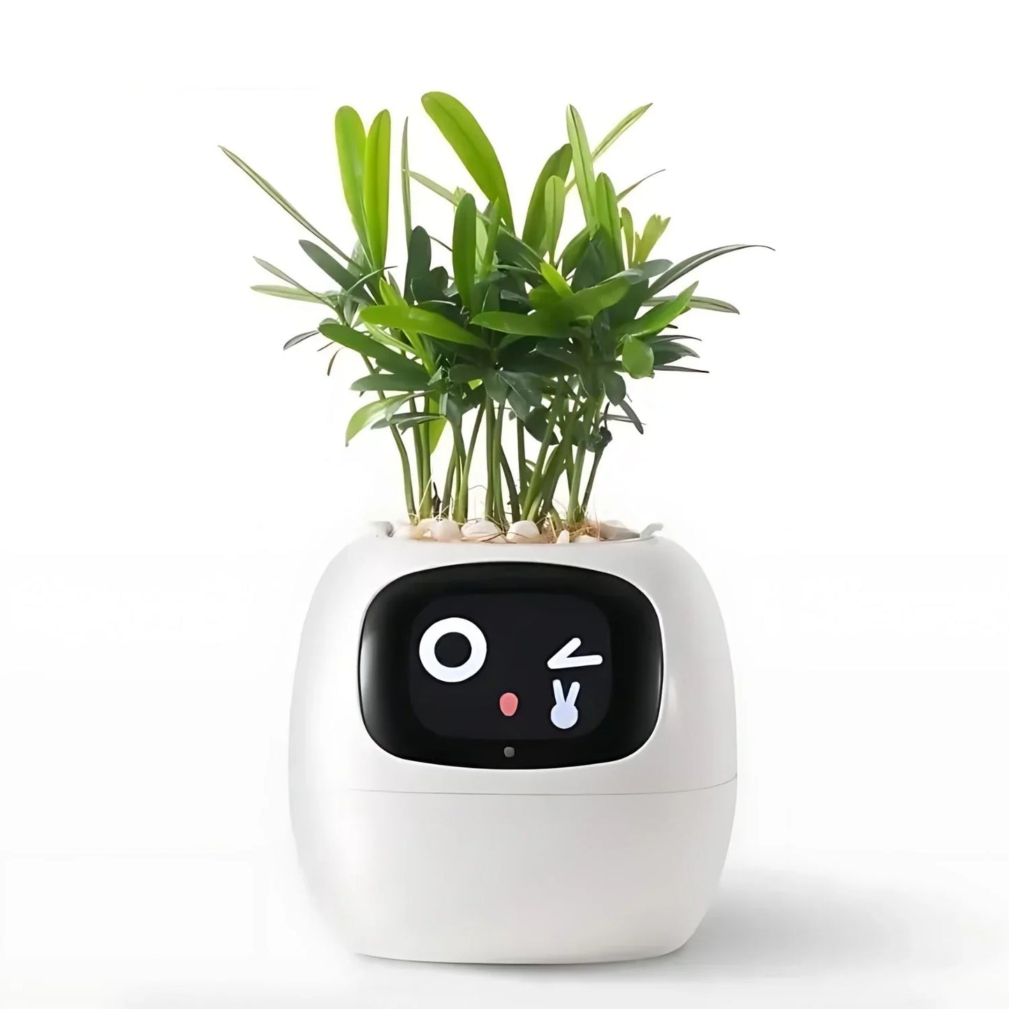 LumiPlant Smart | Automatischer Blumentopf mit Bewässerungssystem & LED-Licht