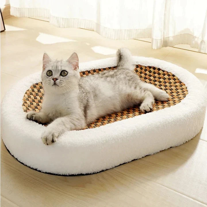 Clawin Nest | Kratzbett für Katzen mit integriertem Sisal-Kratzbereich