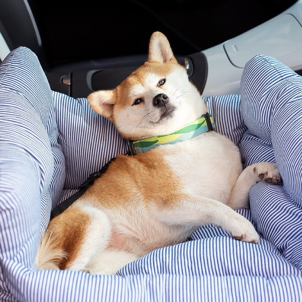 PawVoyage™ Luxus Hundebett fürs Auto | Sicher & Bequem | Waschbar | Mit Seitentaschen | Größen M & L