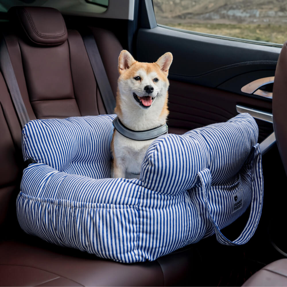 PawVoyage™ Luxus Hundebett fürs Auto | Sicher & Bequem | Waschbar | Mit Seitentaschen | Größen M & L