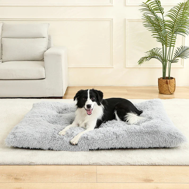 Fluffy Hundekissen Rechteckig | Extra Weich Plüsch | 100% Baumwolle | 3 Farben | 4 Größen