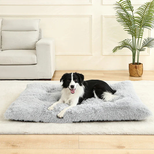 Fluffy Hundekissen Rechteckig | Extra Weich Plüsch | 100% Baumwolle | 3 Farben | 4 Größen