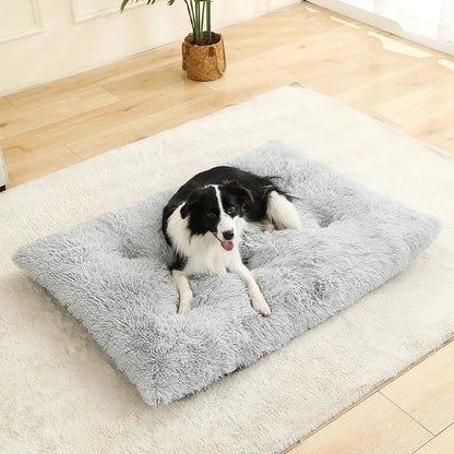 Fluffy Hundekissen Rechteckig | Extra Weich Plüsch | 100% Baumwolle | 3 Farben | 4 Größen