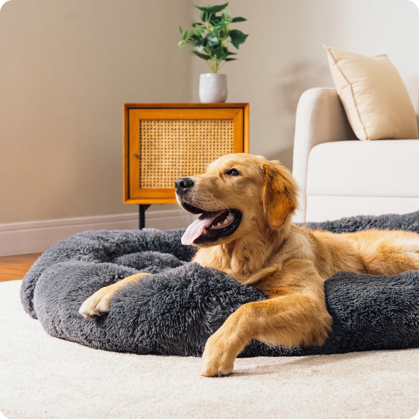 Pawz Road Fluffy Hundekissen | Sofa-Schutzkissen | Modular & Waschbar | Anti-Rutsch | Für Hunde jeder Größe