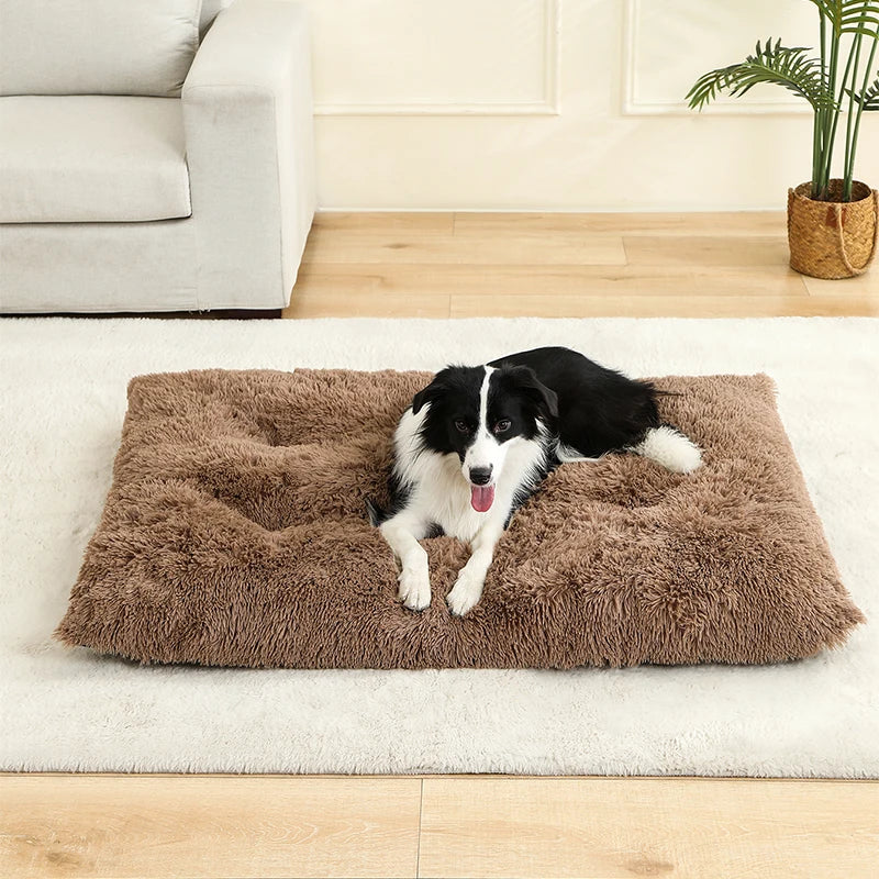 Fluffy Hundekissen Rechteckig | Extra Weich Plüsch | 100% Baumwolle | 3 Farben | 4 Größen