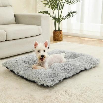 Fluffy Hundekissen Rechteckig | Extra Weich Plüsch | 100% Baumwolle | 3 Farben | 4 Größen
