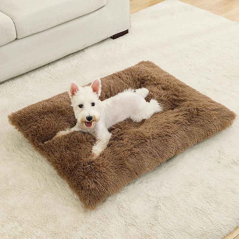 Fluffy Hundekissen Rechteckig | Extra Weich Plüsch | 100% Baumwolle | 3 Farben | 4 Größen