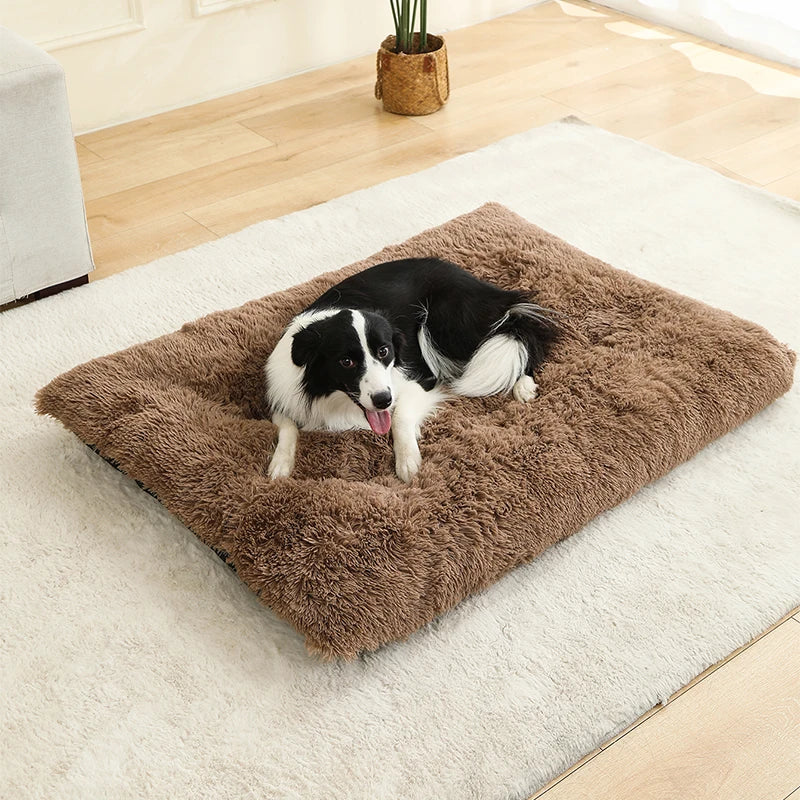 Fluffy Hundekissen Rechteckig | Extra Weich Plüsch | 100% Baumwolle | 3 Farben | 4 Größen