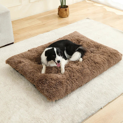 Fluffy Hundekissen Rechteckig | Extra Weich Plüsch | 100% Baumwolle | 3 Farben | 4 Größen