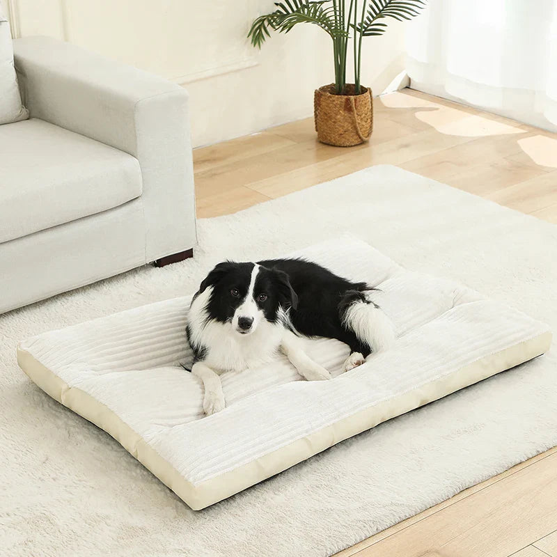 Luxus Hundekissen Rechteckig | 100% Baumwolle | Weich & Atmungsaktiv | Für Bench & Zuhause | 4 Größen
