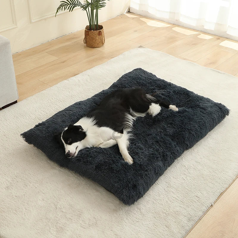 Fluffy Hundekissen Rechteckig | Extra Weich Plüsch | 100% Baumwolle | 3 Farben | 4 Größen