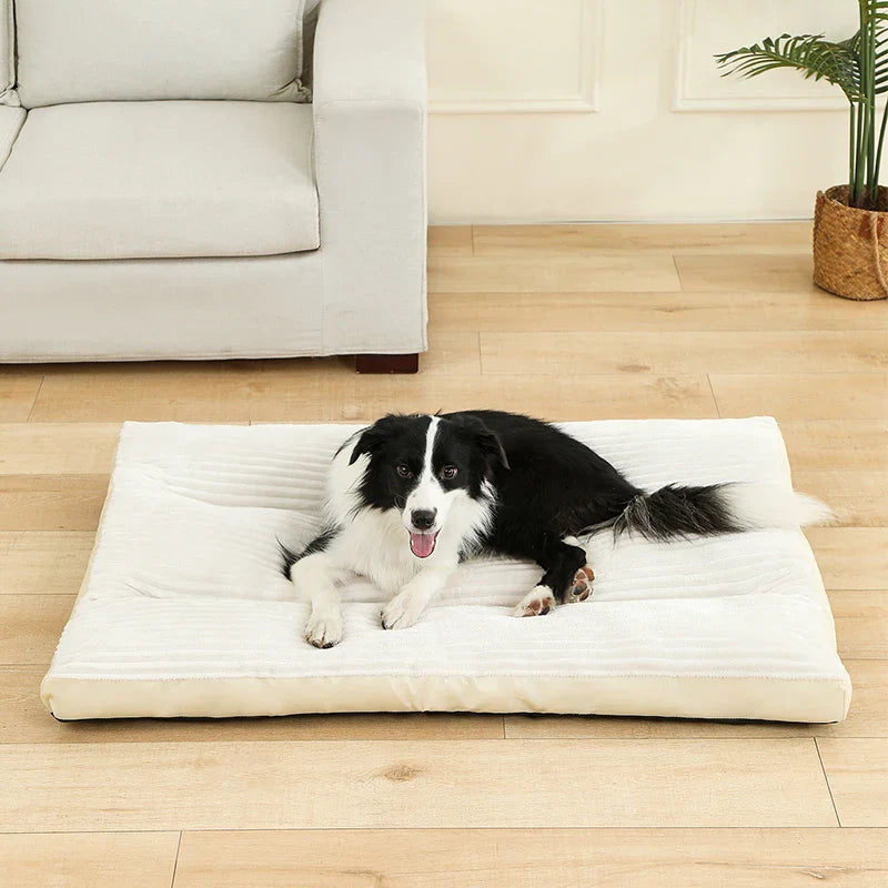Luxus Hundekissen Rechteckig | 100% Baumwolle | Weich & Atmungsaktiv | Für Bench & Zuhause | 4 Größen