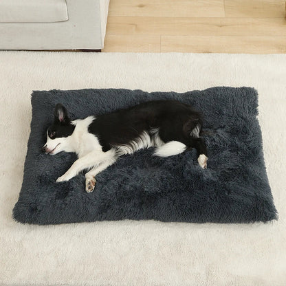 Fluffy Hundekissen Rechteckig | Extra Weich Plüsch | 100% Baumwolle | 3 Farben | 4 Größen