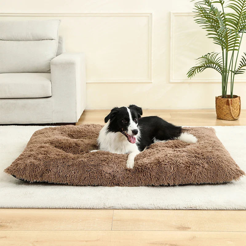 Fluffy Hundekissen Rechteckig | Extra Weich Plüsch | 100% Baumwolle | 3 Farben | 4 Größen
