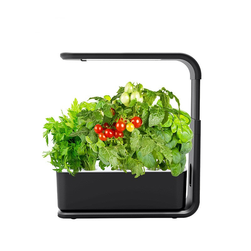 VerdeVibe Hydro | Intelligentes Indoor-Pflanzsystem mit Hydrokultur-Technologie
