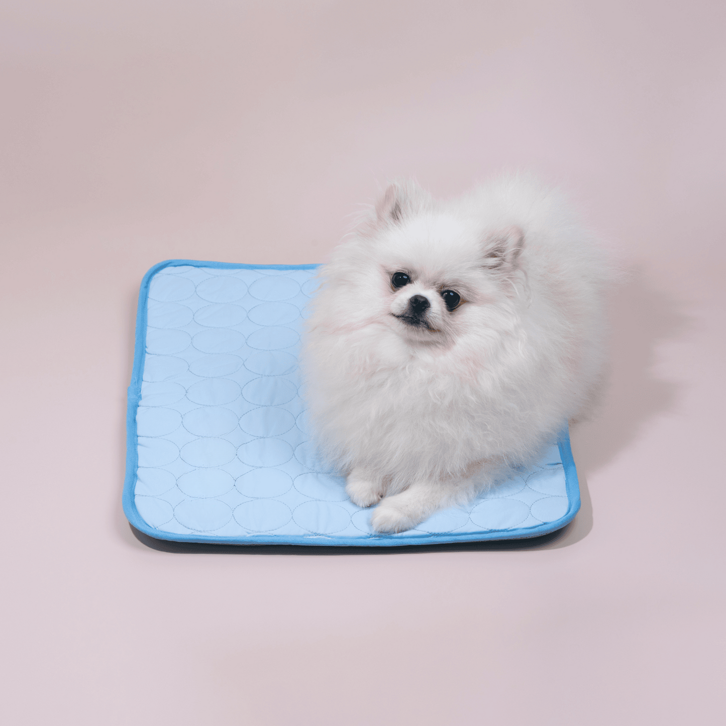 FrostiPaw Chill | selbstkühlende Hundematte mit 4-facher Kühlkraft für Sommerkomfort