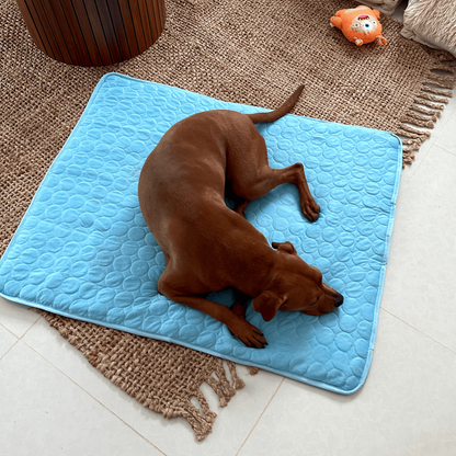 FrostiPaw Chill | selbstkühlende Hundematte mit 4-facher Kühlkraft für Sommerkomfort