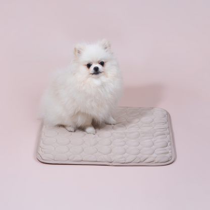 FrostiPaw Chill | selbstkühlende Hundematte mit 4-facher Kühlkraft für Sommerkomfort