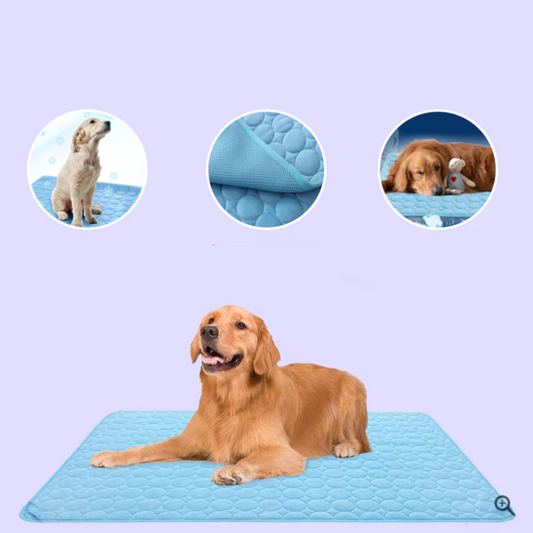 FrostiPaw Chill | selbstkühlende Hundematte mit 4-facher Kühlkraft für Sommerkomfort