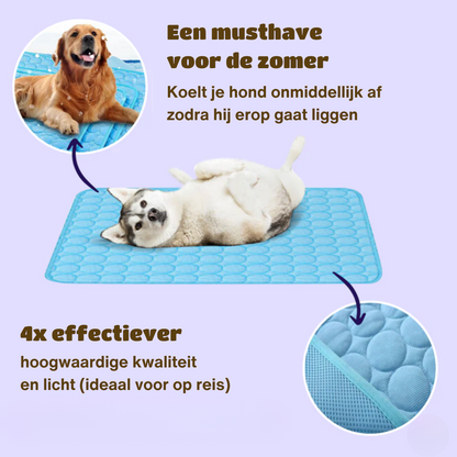 FrostiPaw Chill | selbstkühlende Hundematte mit 4-facher Kühlkraft für Sommerkomfort