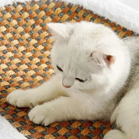 Clawin Nest | Kratzbett für Katzen mit integriertem Sisal-Kratzbereich