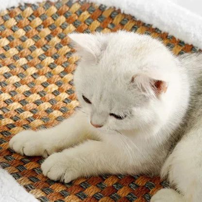 Clawin Nest | Kratzbett für Katzen mit integriertem Sisal-Kratzbereich