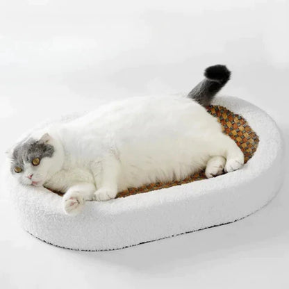 Clawin Nest | Kratzbett für Katzen mit integriertem Sisal-Kratzbereich